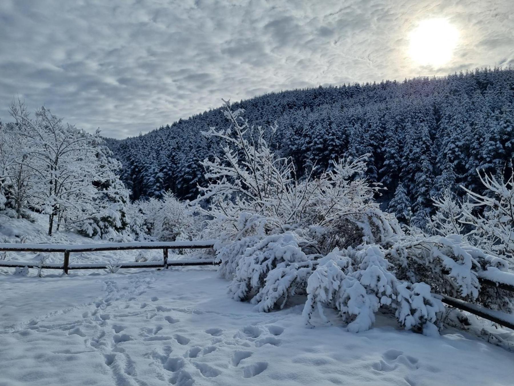 Панорама Хаус Лещен И Еко Къщи Дървена И Землянка Exteriér fotografie