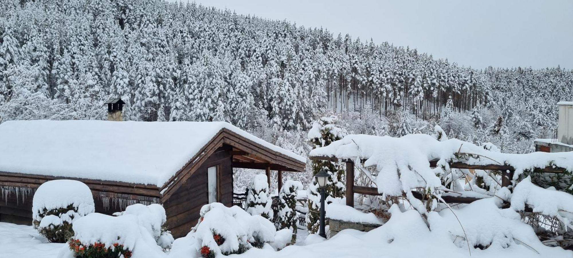 Панорама Хаус Лещен И Еко Къщи Дървена И Землянка Exteriér fotografie