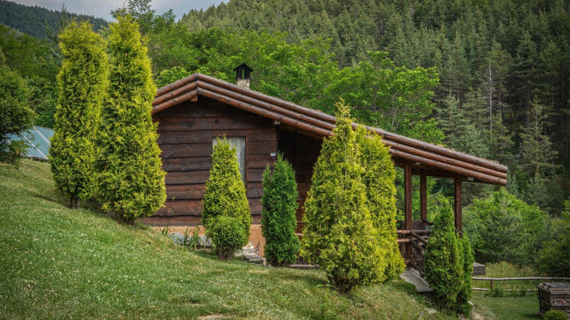 Панорама Хаус Лещен И Еко Къщи Дървена И Землянка Exteriér fotografie