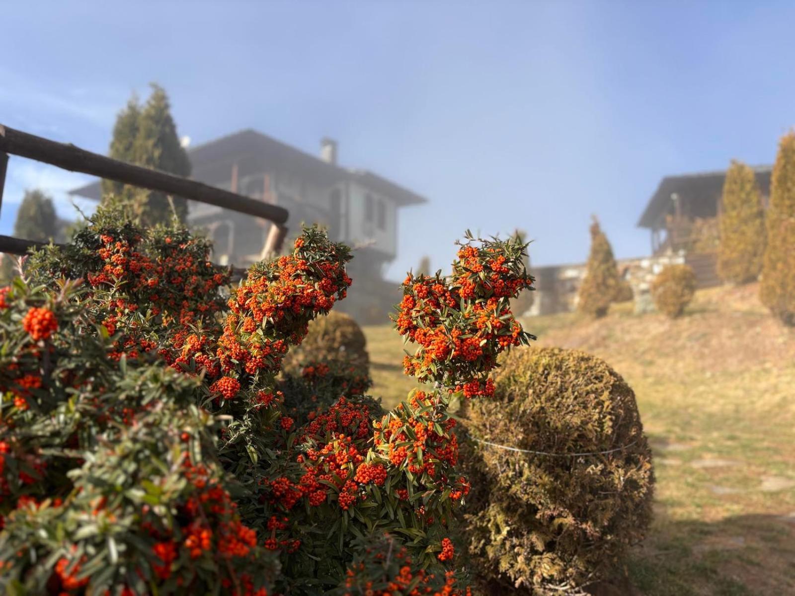 Панорама Хаус Лещен И Еко Къщи Дървена И Землянка Exteriér fotografie